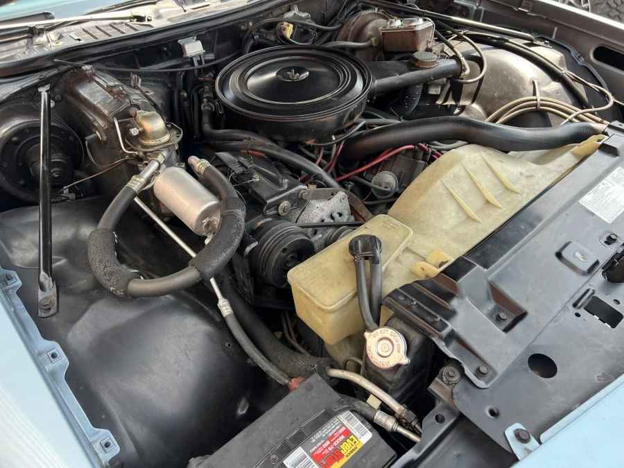 1976 Buick Regal - Image 10 of 11