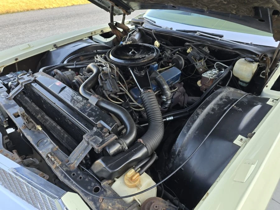 1976 Cadillac Eldorado 9th Gen - Image 14 of 14