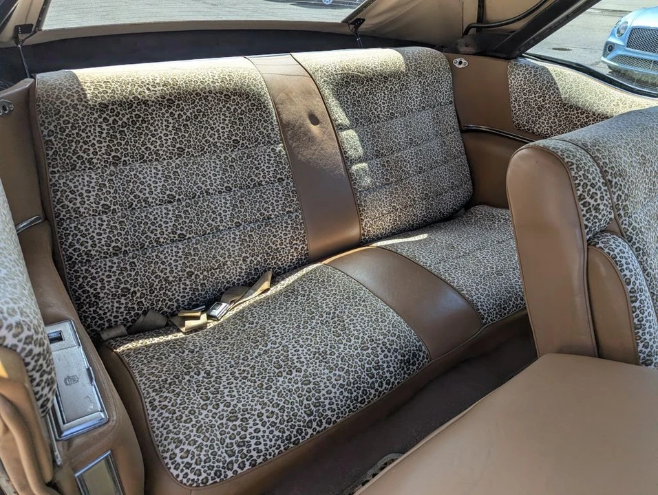 1976 Cadillac Eldorado 9th Gen - Image 28 of 31