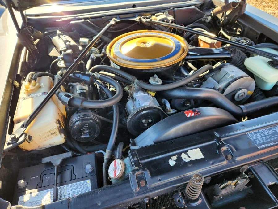 1976 Cadillac Seville - Image 22 of 24