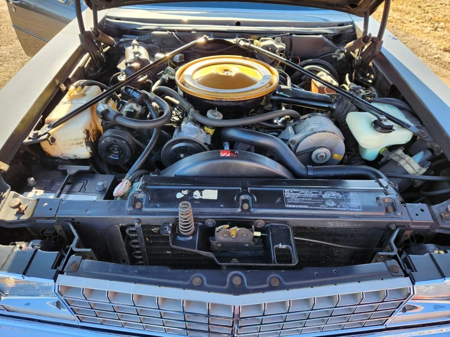 1976 Cadillac Seville - Image 21 of 24