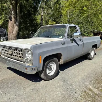 1976 Chevrolet 1500 Regular Cab