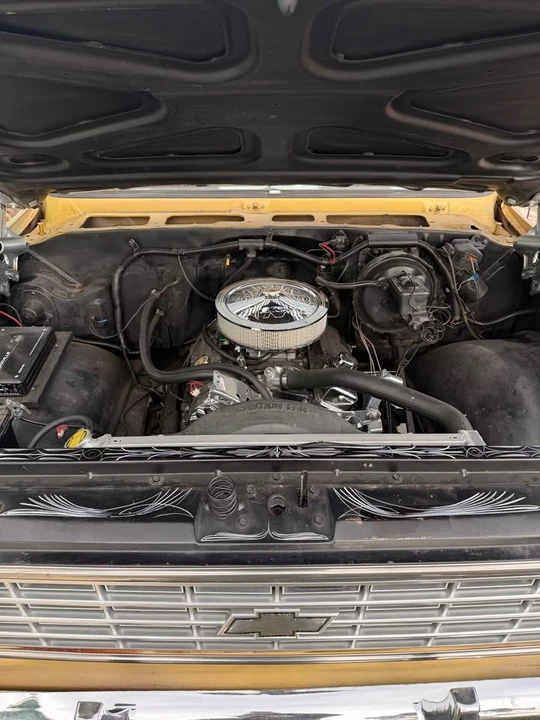 1976 Chevrolet C/K 3rd Gen - Image 2 of 8
