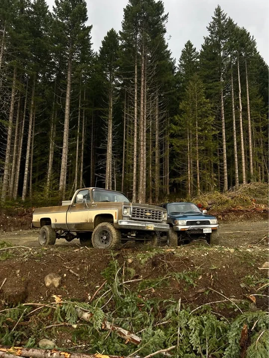 1976 Chevrolet C/K 3rd Gen - Image 8 of 11