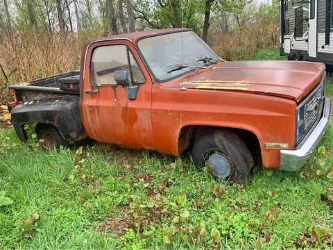 1976 Chevrolet C10