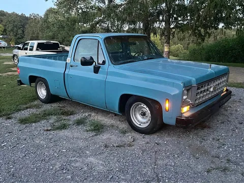 1976 Chevrolet C10 Truck