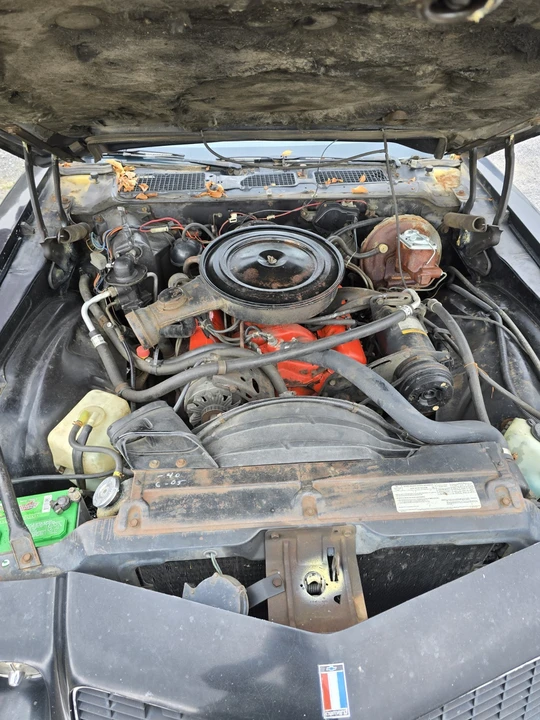 1976 Chevrolet Camaro 2nd Gen - Image 5 of 21
