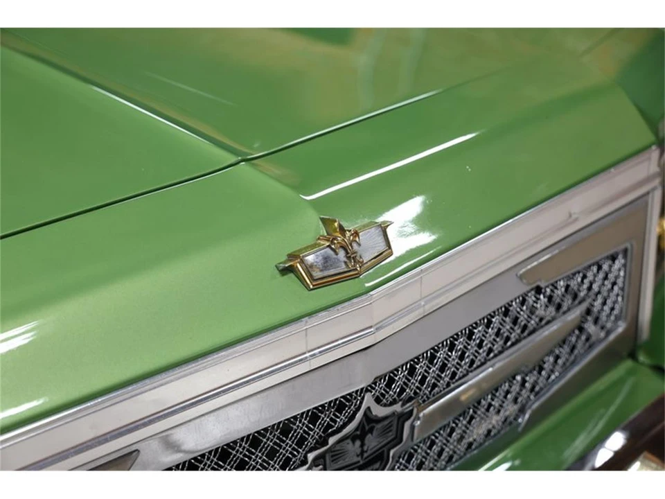 1976 Chevrolet Caprice - Image 12 of 31
