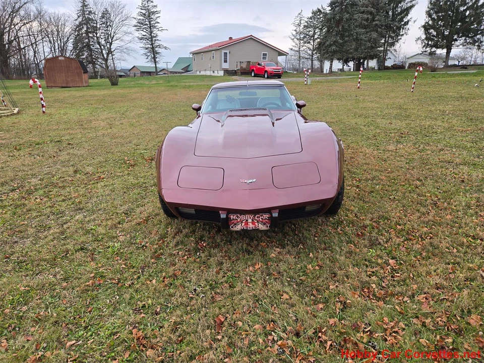 1976 Chevrolet Corvette C3 - Image 2 of 31