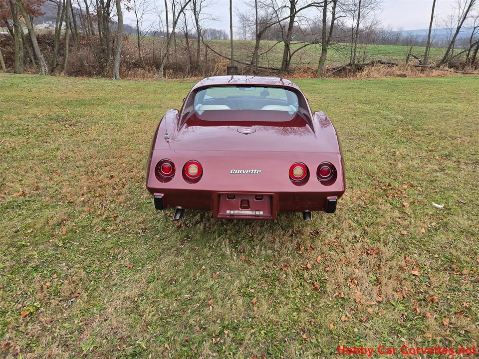 1976 Chevrolet Corvette C3 - Image 3 of 31