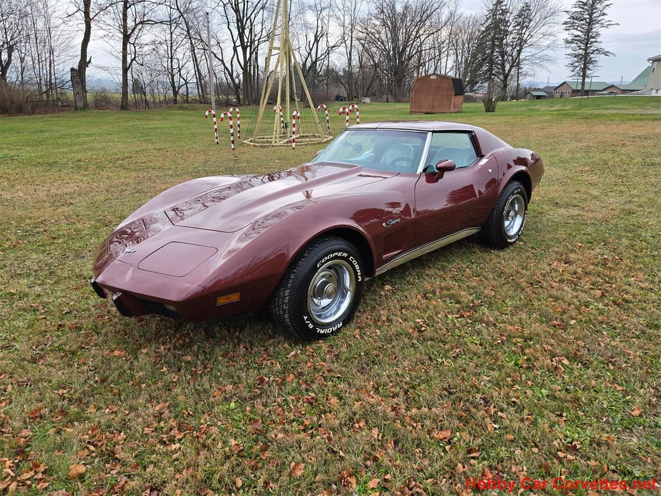 1976 Chevrolet Corvette C3 - Image 9 of 31