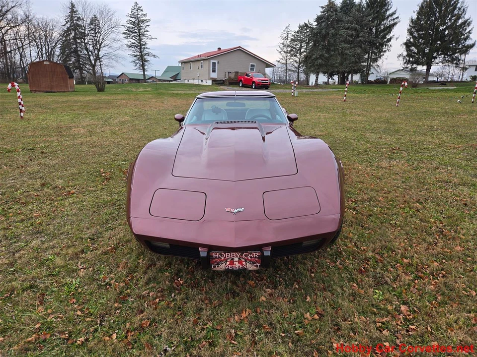 1976 Chevrolet Corvette C3 - Image 10 of 31