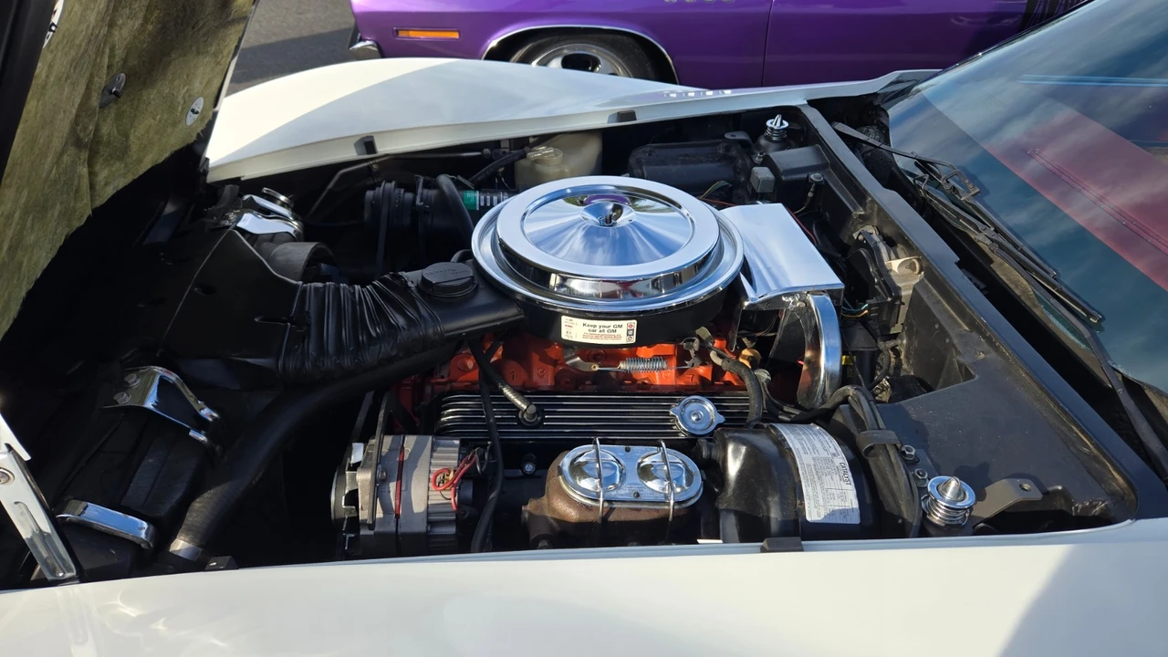 1976 Chevrolet Corvette C3 - Image 16 of 27