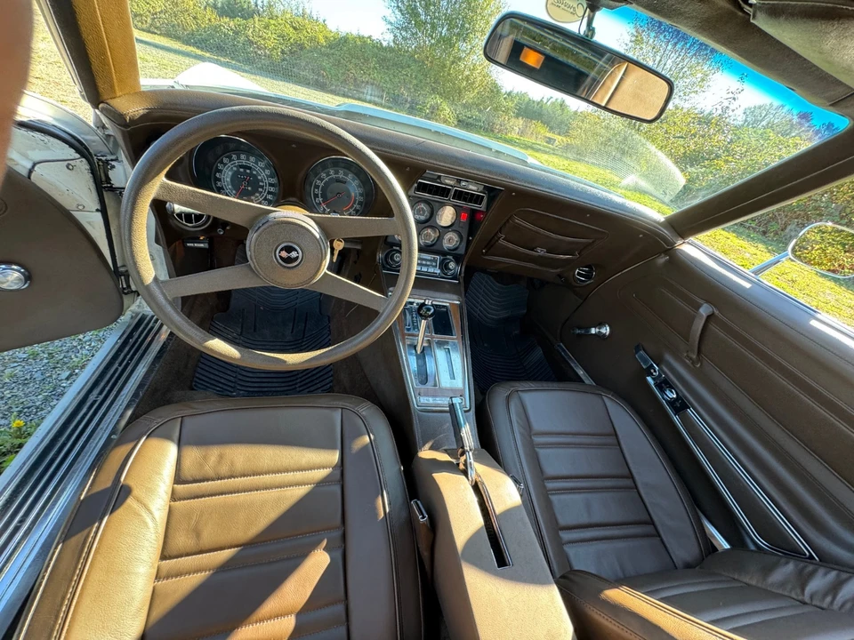 1976 Chevrolet Corvette C3 - Image 19 of 21