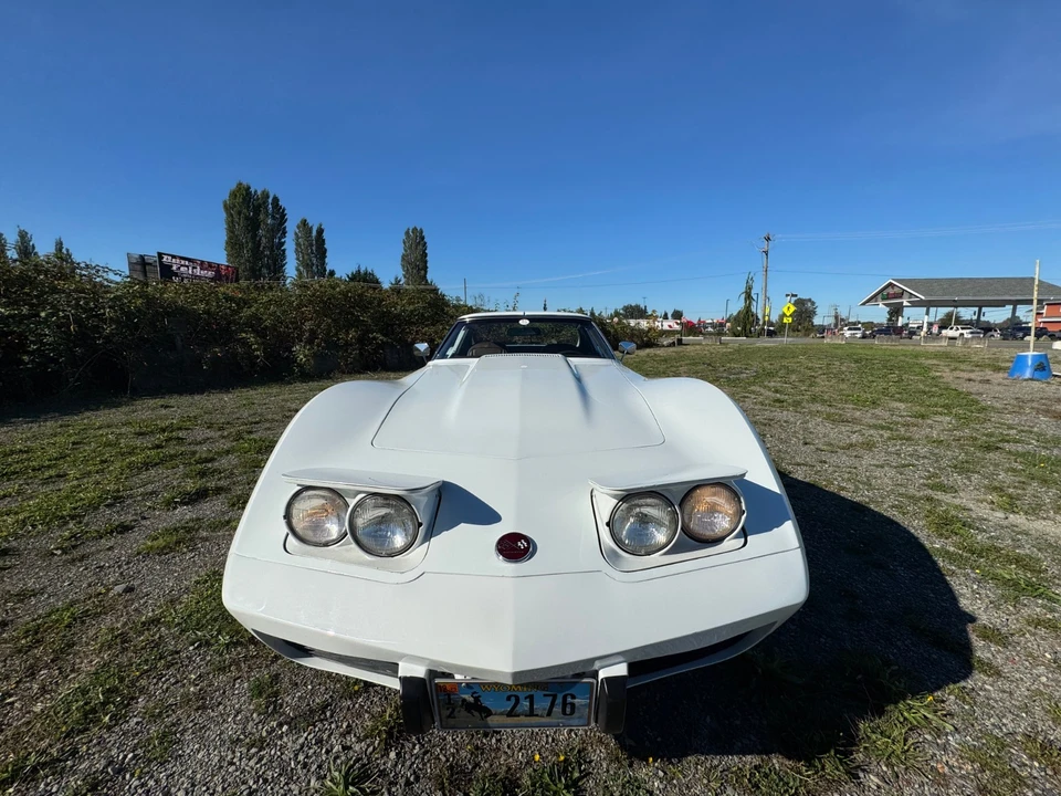 1976 Chevrolet Corvette C3 - Image 15 of 21