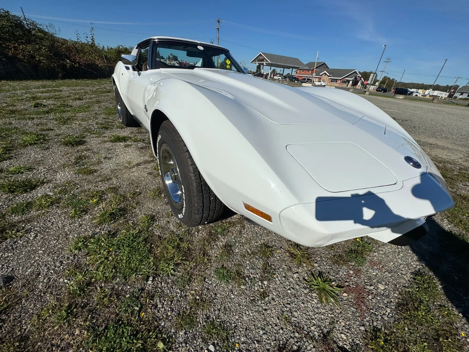 1976 Chevrolet Corvette C3 - Image 11 of 21