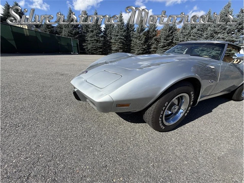 1976 Chevrolet Corvette C3 - Image 12 of 31