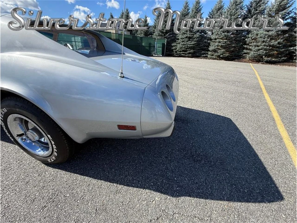1976 Chevrolet Corvette C3 - Image 24 of 31