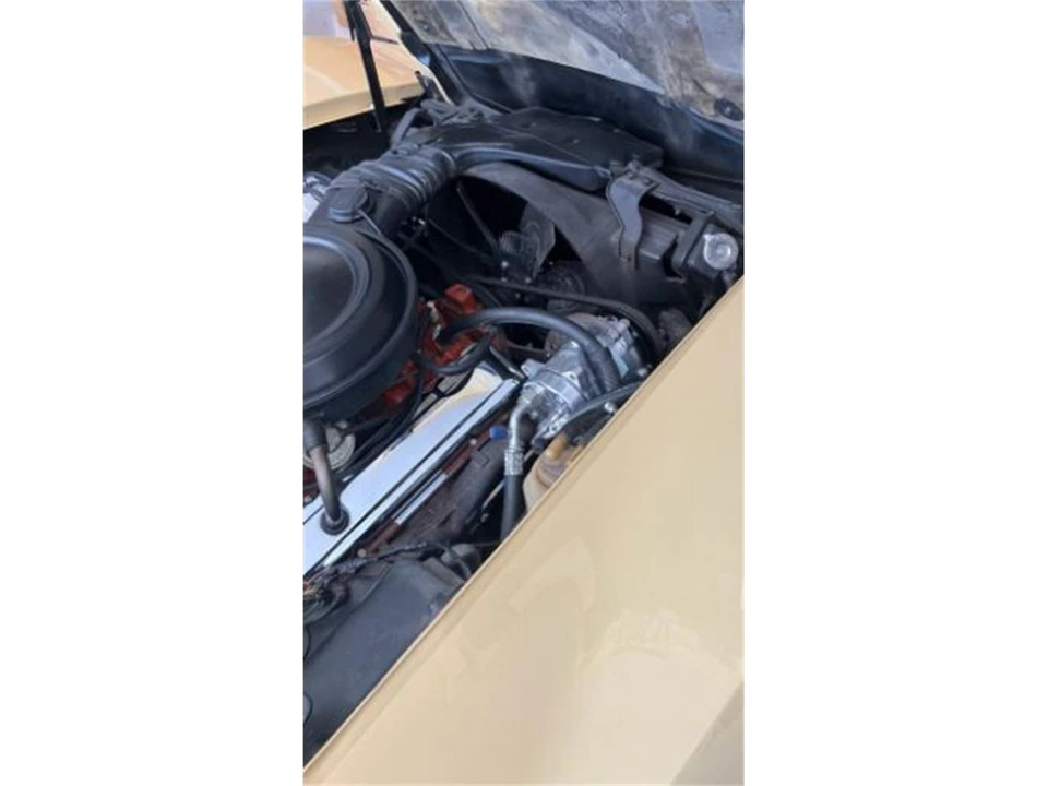 1976 Chevrolet Corvette C3 - Image 19 of 19