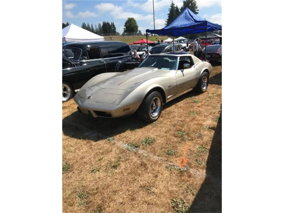 1976 Chevrolet Corvette C3 - Image 4 of 12