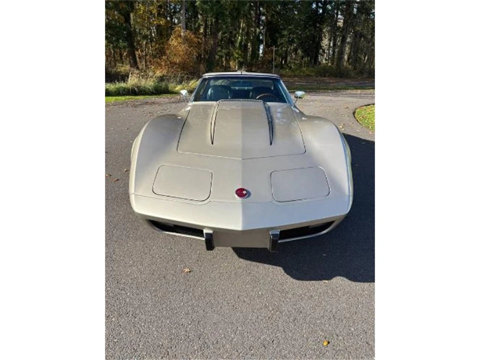 1976 Chevrolet Corvette C3 - Image 10 of 12