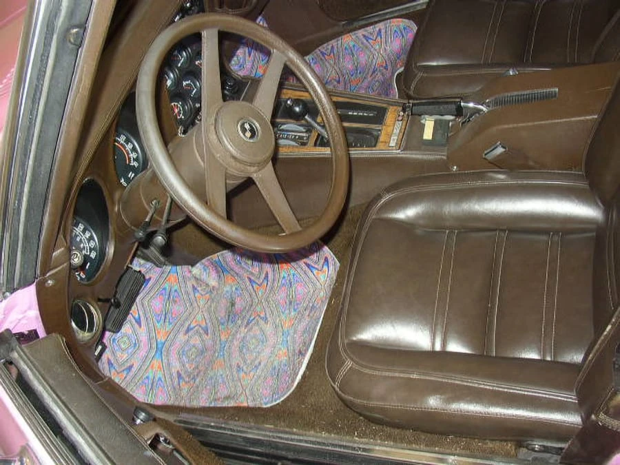 1976 Chevrolet Corvette C3 - Image 10 of 12