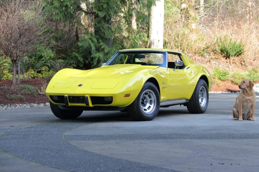 1976 Chevrolet Corvette C3 - Image 12 of 25