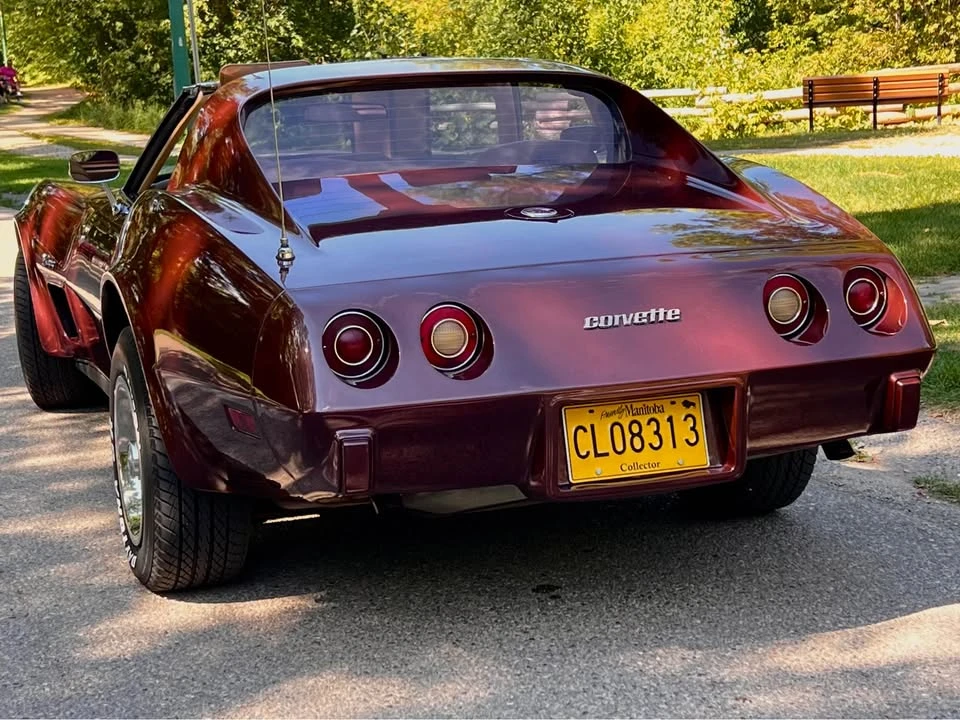 1976 Chevrolet Corvette C3 - Image 3 of 9