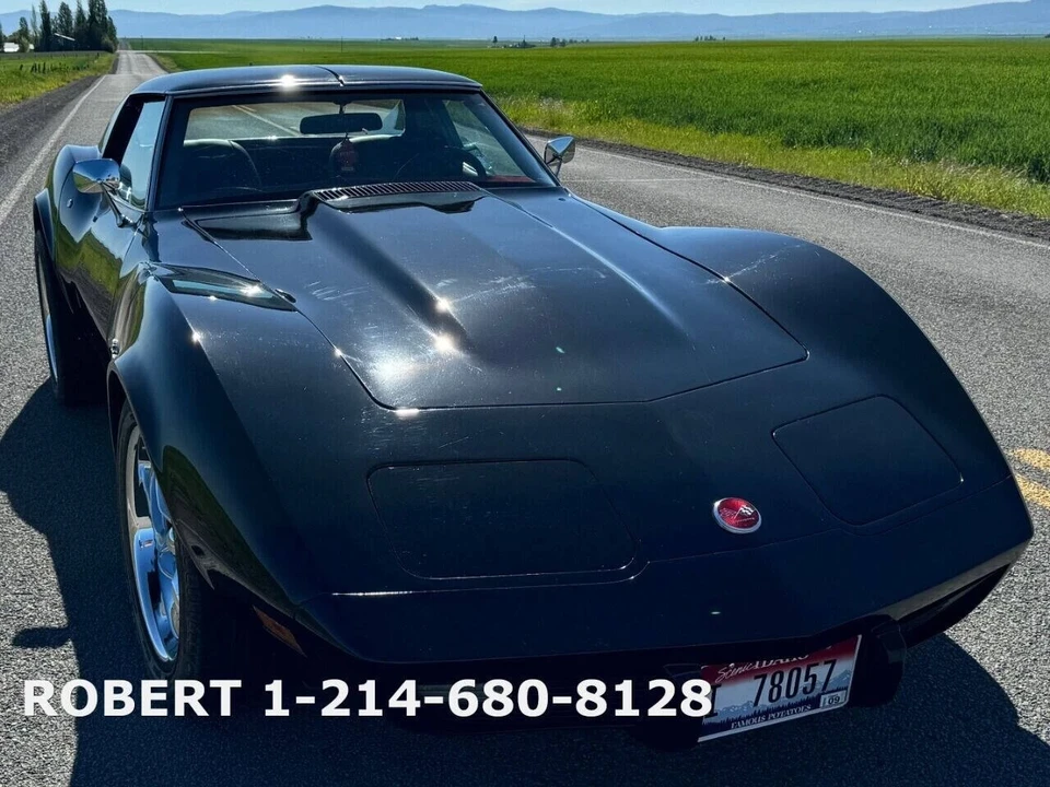 1976 Chevrolet Corvette C3 - Image 21 of 21