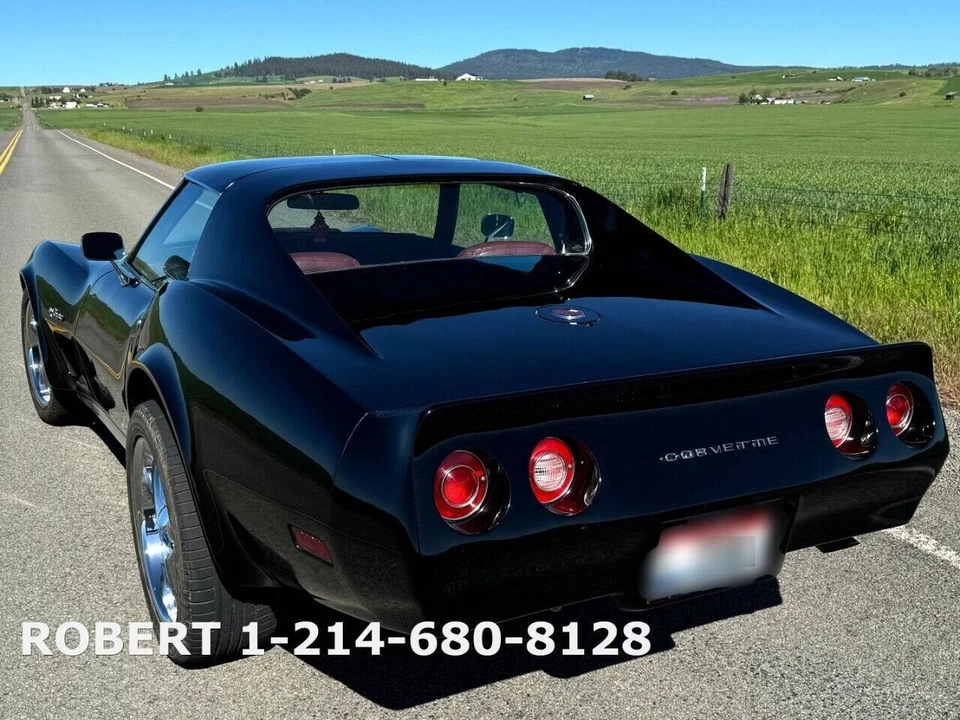 1976 Chevrolet Corvette C3 - Image 20 of 21