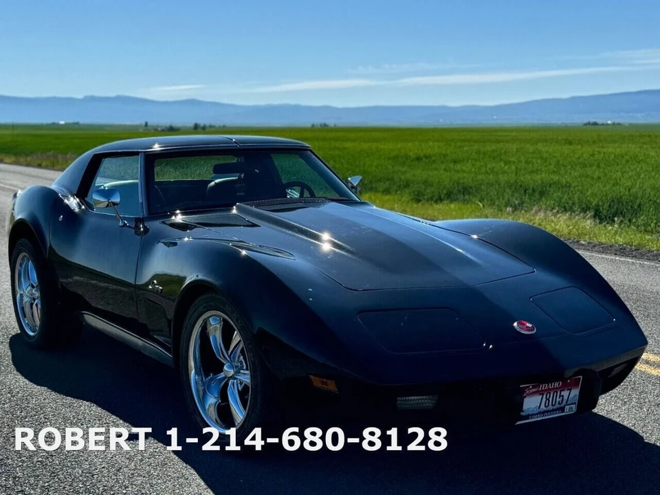 1976 Chevrolet Corvette C3 - Image 19 of 21