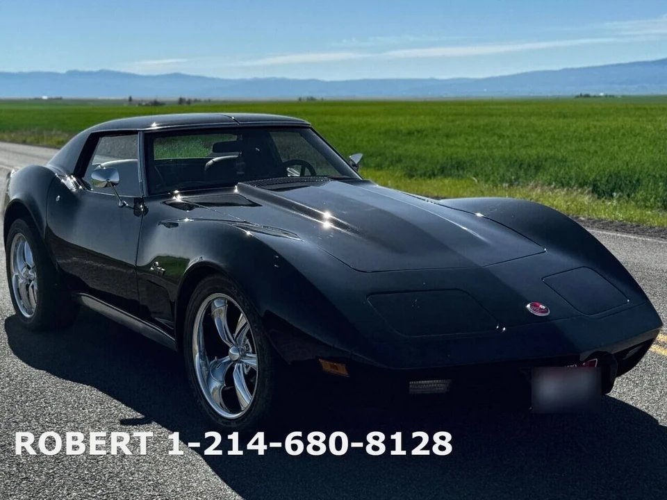 1976 Chevrolet Corvette C3 - Image 18 of 21