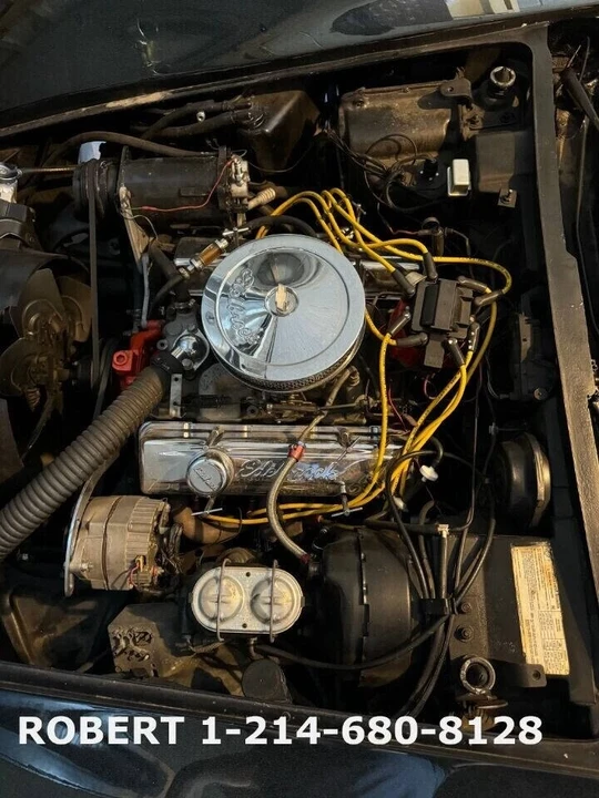 1976 Chevrolet Corvette C3 - Image 10 of 21