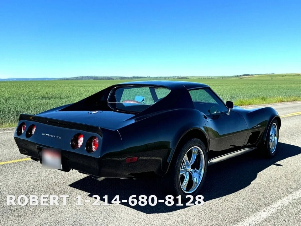 1976 Chevrolet Corvette C3 - Image 15 of 21