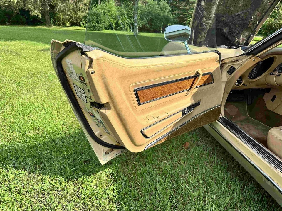 1976 Chevrolet Corvette C3 - Image 20 of 31