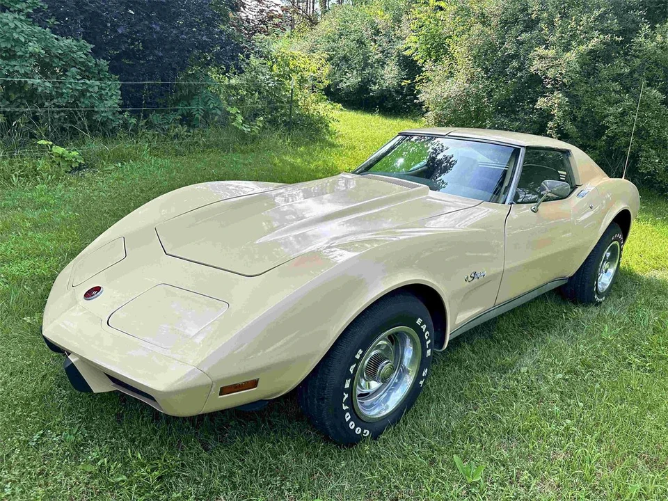 1976 Chevrolet Corvette C3 - Image 18 of 31