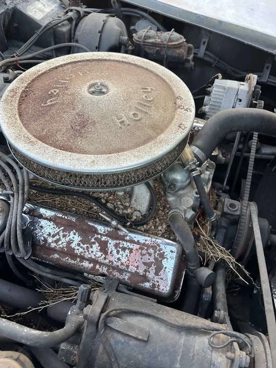 1976 Chevrolet Corvette C3 - Image 6 of 11