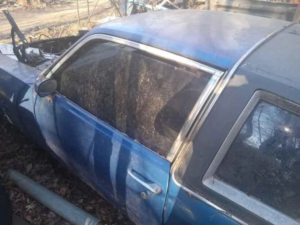 1976 Chevrolet Nova 4th Gen - Image 3 of 4