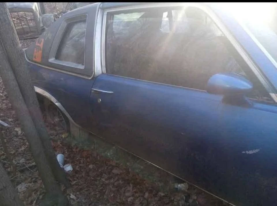 1976 Chevrolet Nova 4th Gen - Image 4 of 4