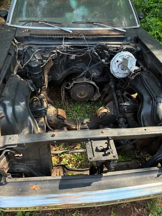 1976 Chevrolet Nova 4th Gen - Image 6 of 7