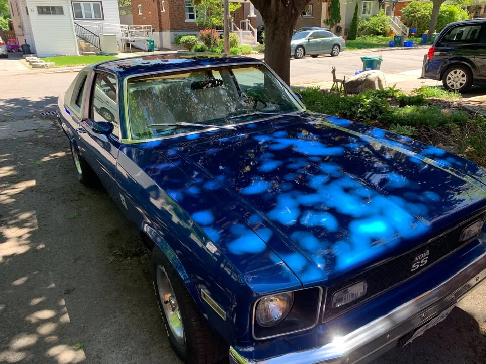 1976 Chevrolet Nova 4th Gen - Image 3 of 10