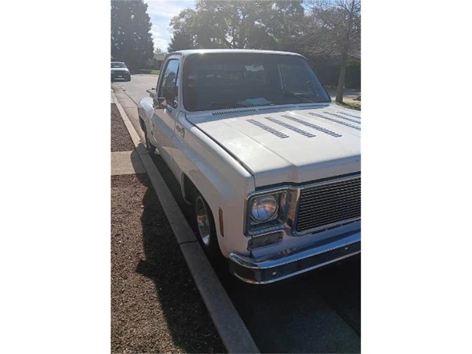 1976 Chevrolet C/K 3rd Gen - Image 2 of 22