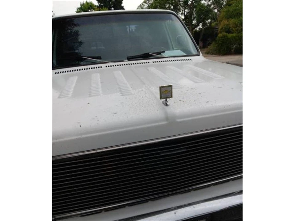 1976 Chevrolet C/K 3rd Gen - Image 4 of 22