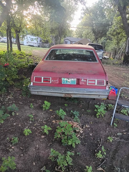 1976 Chevrolet SS - Image 4 of 11