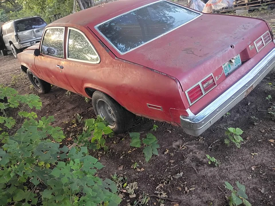 1976 Chevrolet SS - Image 3 of 11