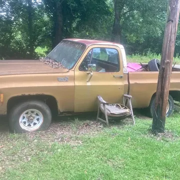 1976 Chevrolet C10