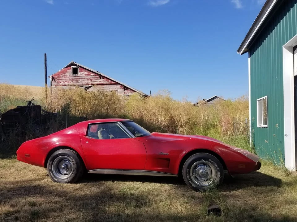 1976 Chevrolet Corvette C3 - Image 8 of 15