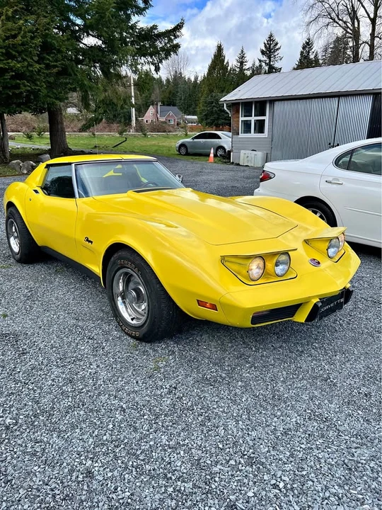 1976 Chevrolet Corvette C3 - Image 1 of 5