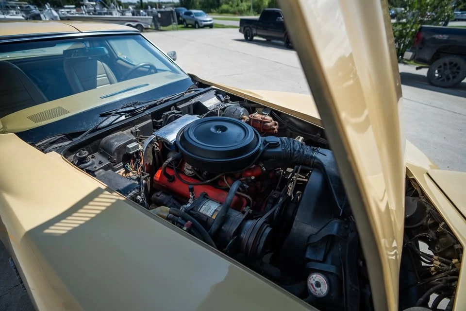 1976 Chevrolet Corvette C3 - Image 14 of 16