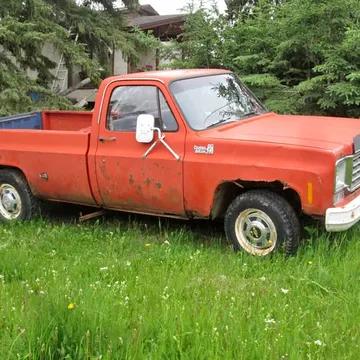 1976 Chevrolet Custom Deluxe 20